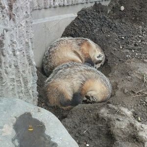 Meet your Posher, Zhao